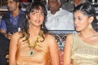 Mogudu Audio Launch
